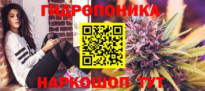 гидра Малгобек